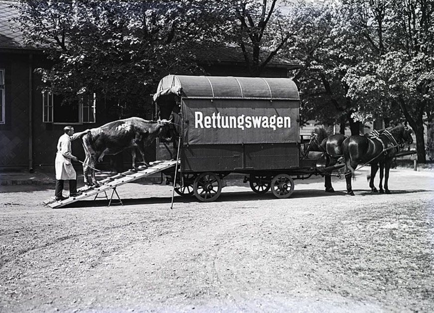 Rettungswagen