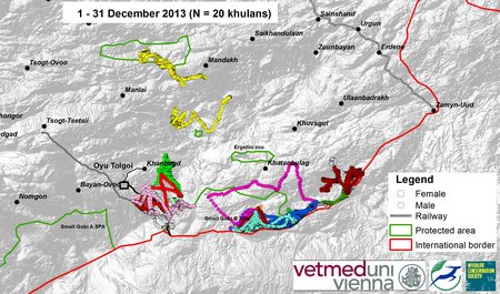 Map of wild ass movements in December 2013