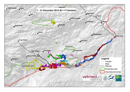 Map of wild ass movements in December 2014