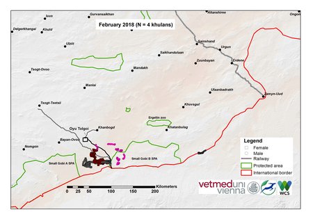 Map of khulan movements in February 2018