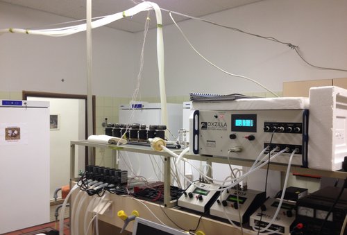 Respirometrie- system mit Differential-sauerstoff-analysator 