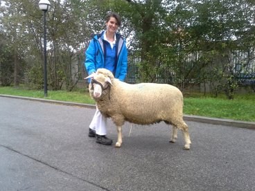 Iris Ribitsch mit Modelltier Schaf