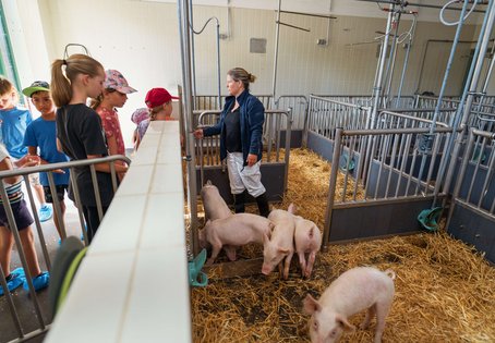 Im Rahmen des Ferienspiels besuchten die Kinder unter andrem die Schweinekliik der Vetmeduni. Foto: Thomas Suchanek/Vetmeduni