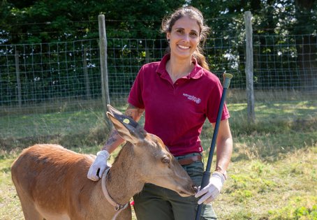 Ob Exoten wie Nashorn & Co oder heimisches Rotwild: Friederike Pohlin, neue Assistenzprofessorin am Forschungsinstitut für Wildtierkunde und Ökologie (FIWI), befasst sich mit freilebenden Tieren aller Größenordnungen.