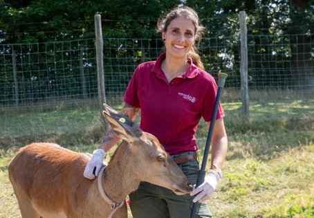 Friederike Pohlin mit einem Rothirsch