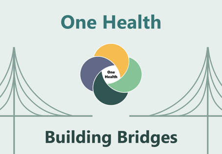 Grafik One Health Building Bridges