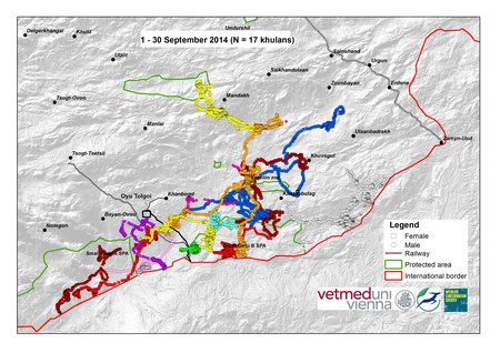 Map of wild ass movements in September 2014