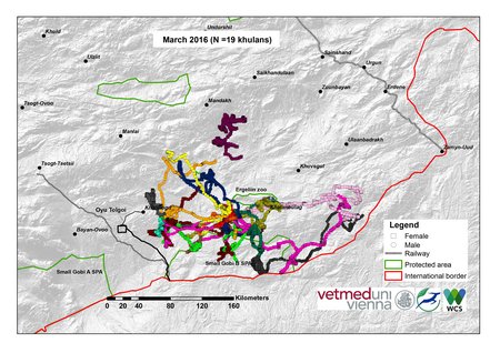 Karte von Khulan Bewegungen März 2016