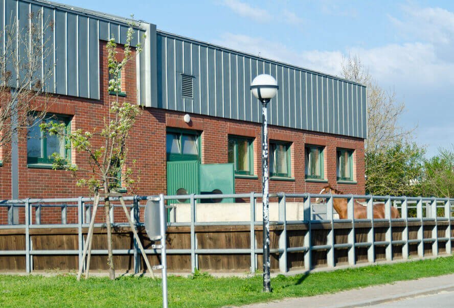 Pferdekoppel am Campus der Vetmeduni, Foto: M. Bernkopf