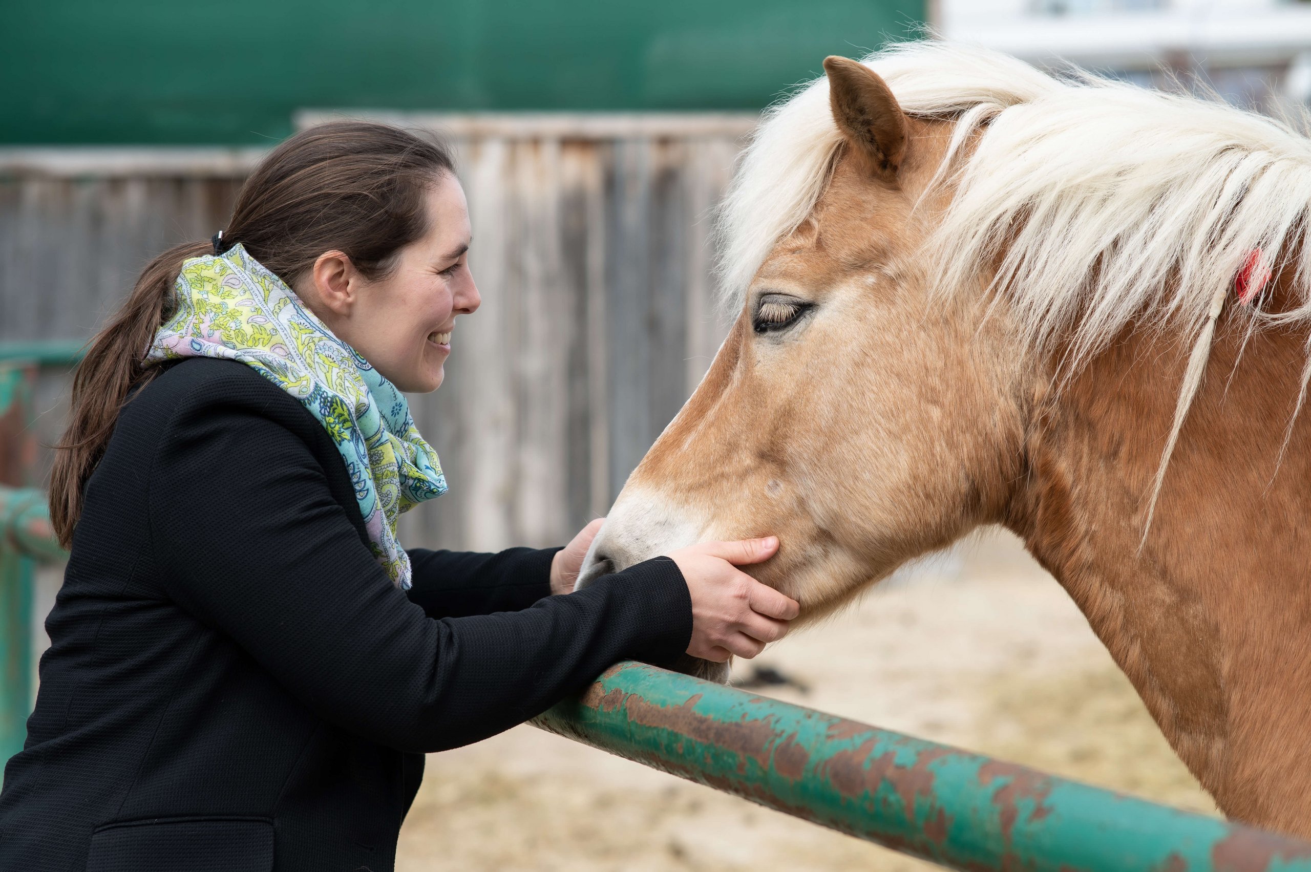 Foto: Michael Bernkopf/Vetmeduni