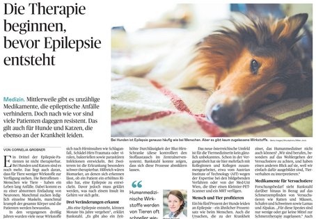 Screenshot Die Presse Artikel, Collie liegt auf einer Decke, Überschrift: Die Therapie beginnen, bevor Epilepsie ensteht