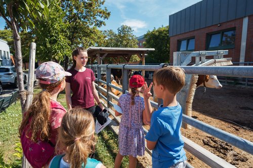 Foto: Thomas Suchanek/Vetmeduni