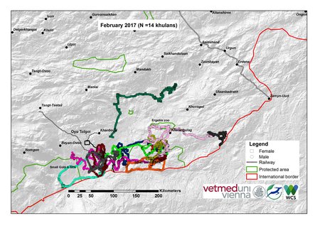 Map of khulan movements February 2017