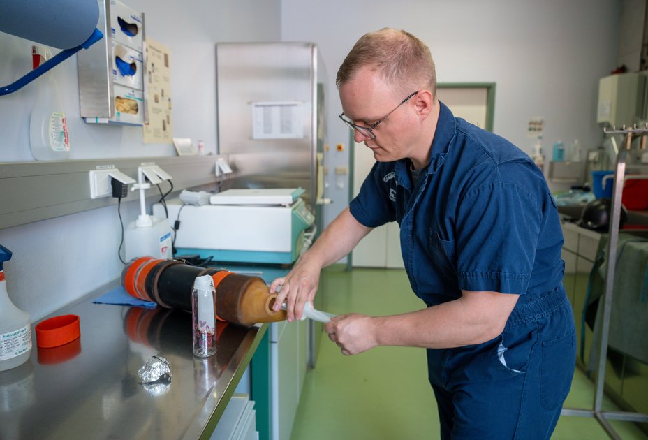 Martin Kaps bei der Arbeit im Labor