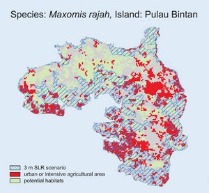 Indonesische Insel Pulau Bintan bei einem simulierten Anstieg des Meeresspiegels 