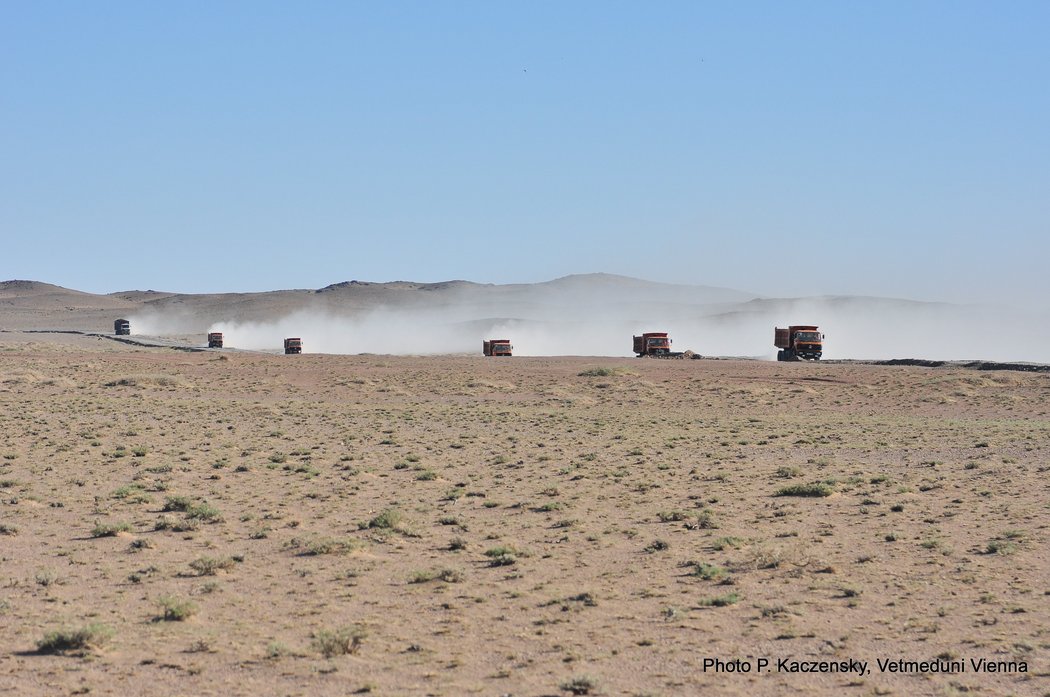 Photo of truck traffic on the ER road