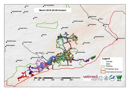 Map of khulan movements in March 2019