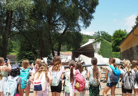 Impressionen vom Workshop letztes Jahr bei der KinderUniGraz in Piber