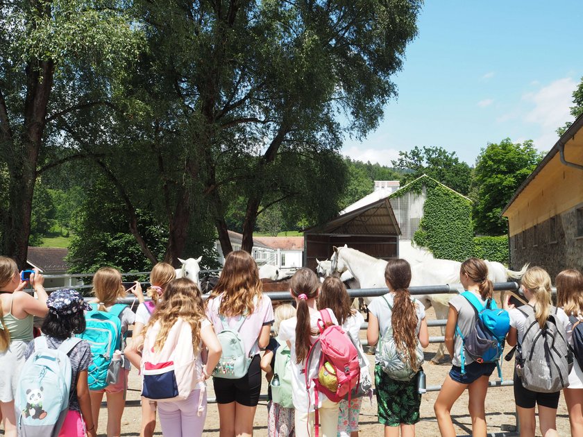 Impressionen vom Workshop letztes Jahr bei der KinderUniGraz in Piber