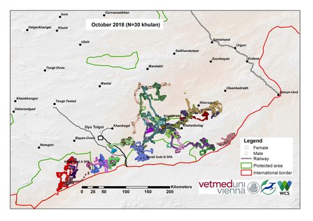 map of khulan movements in October 2018