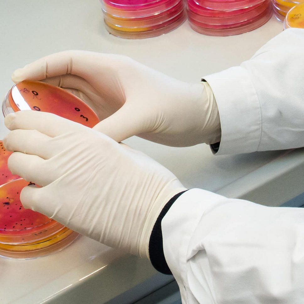 H&auml;nde und Petrischale