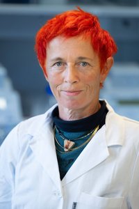 Doris Wilflingseder