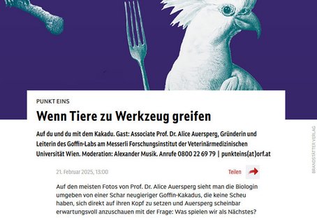 Screenshot Ö1, Bild von Kakadu mit Gabel, Überschrift: Wenn Tiere zu Werkzeug greifen