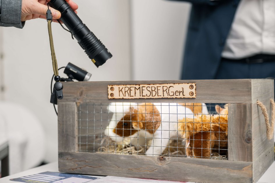 Lange Nacht der Forschung 2024, HOLSTEIN Stand, Heldenplatz 1010.
