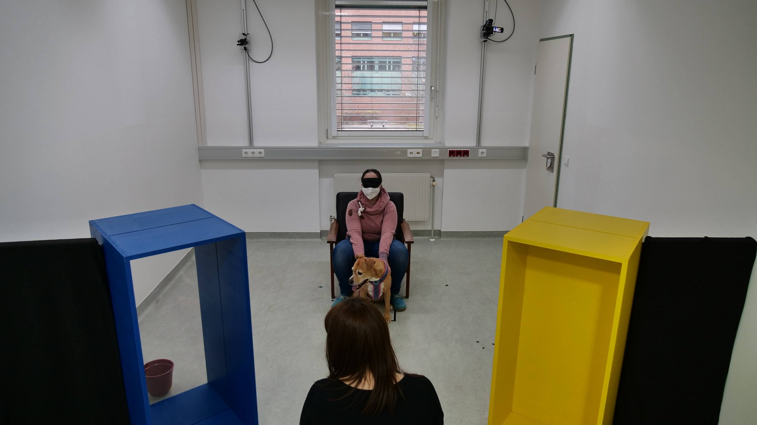Person wearing a blindfold sits in the middle of the room holding a dog; two containers are positioned on the left and right sides of the image.