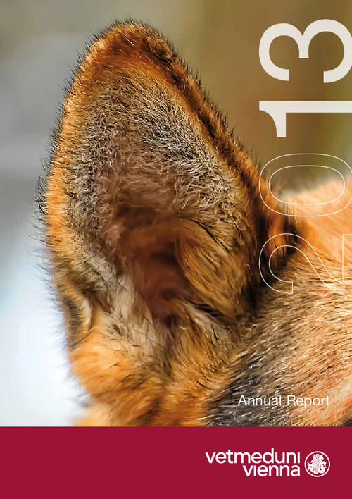 Annual Report 2013