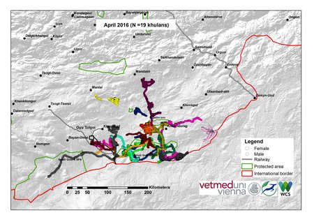 Map of khulan movements April 2016