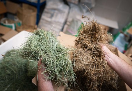  Die linke Hand hält eine Heuprobe in sattem Grünton, die rechte Hand hält eine Heuprobe mit bräunlicher Farbgebung.
