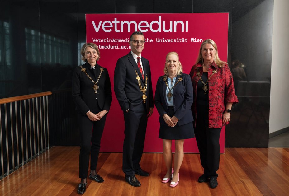Feierliche Angelobung des neuen Rektorats an der Vetmeduni: (v.l.n.r.) Birgit Hochenegger-Stoirer, Matthias Gauly, Barbara Bockstahler und Martina Marchetti-Deschmann