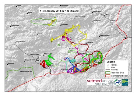 Map of wild ass movements in January 2014