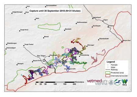 Map of khulan movements in September 2018