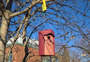 Roter Vogelnistkasten in Baum h&auml;ngend