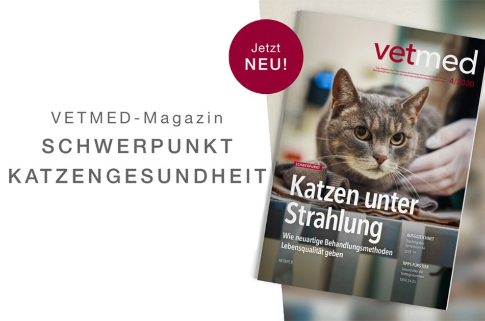 VETMED Magazin 04/2020