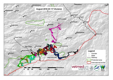 Karte von Khulan Bewegungen August 2016