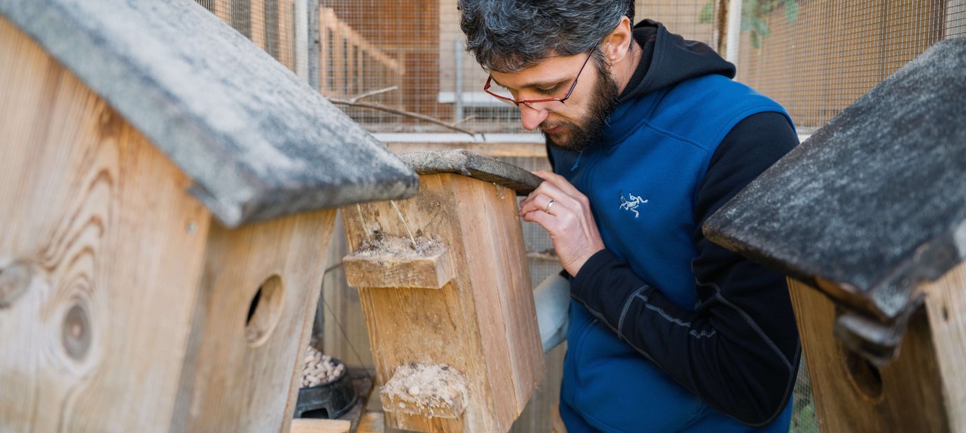 ... Hier am FIWI in einer isolierten Winterschlaf-Box. Foto: Thomas Suchanek