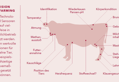 Die Kuh im Blick: Precision Dairy Farming. Illustration: Matthias Moser/Vetmeduni Vienna
