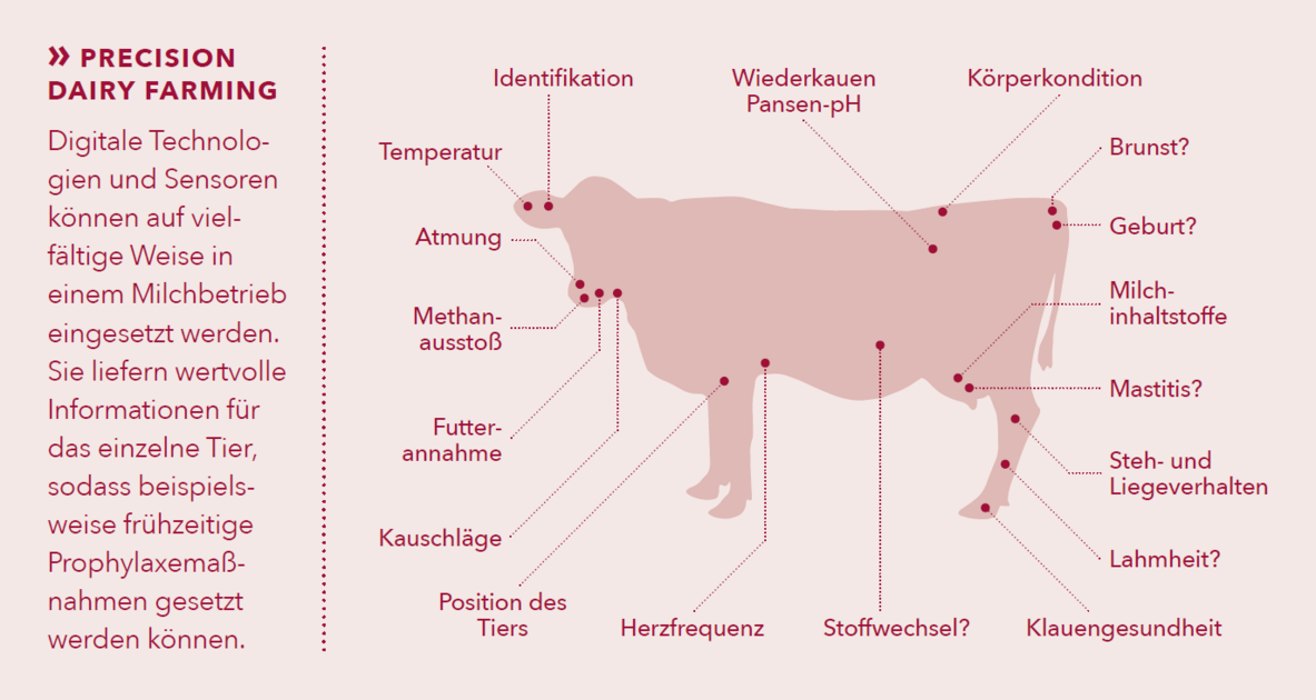 Die Kuh im Blick: Precision Dairy Farming. Illustration: Matthias Moser/Vetmeduni Vienna