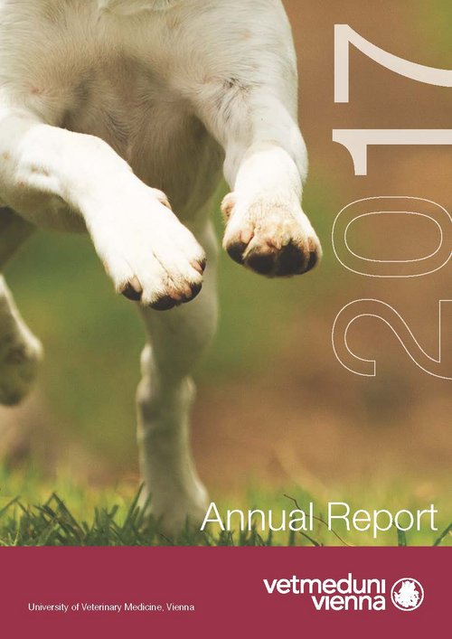 Annual Report 2017