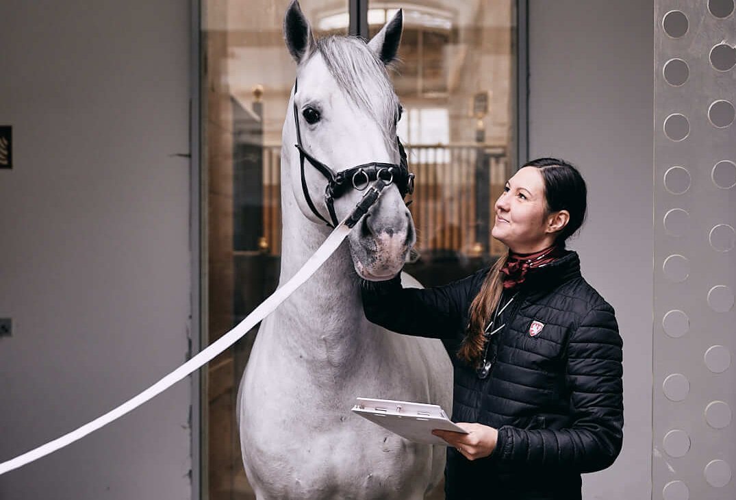 Sophia Sommerauer with Lipizzaner