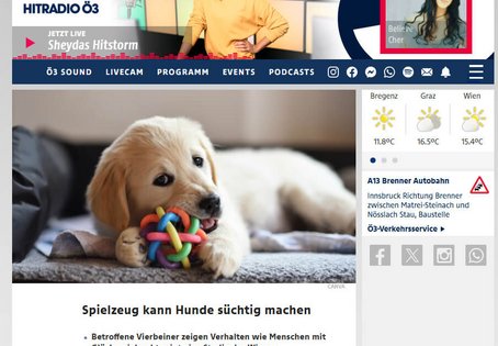 Screenshot Hitradio Ö3, kleiner Hund kaut auf Spielzeug, Headline: Spielzeug kann Hunde süchtig machen