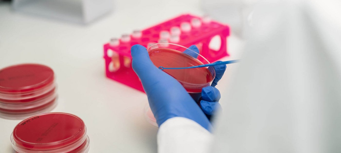 Forscherin mit Agarplatte, Foto: Suchanek/Vetmeduni
