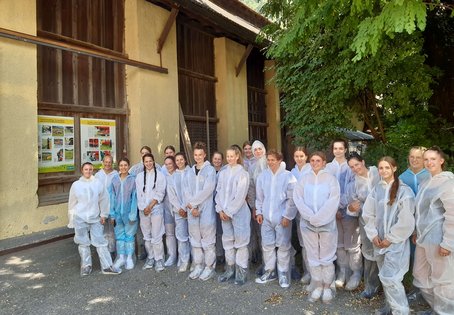 Anmeldung zur Summer School VetINNSights 2024