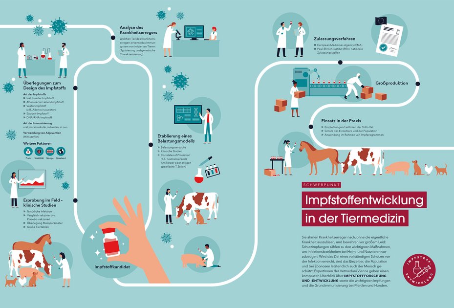 Infografik aus VETMED 01/2021: Matthias Moser