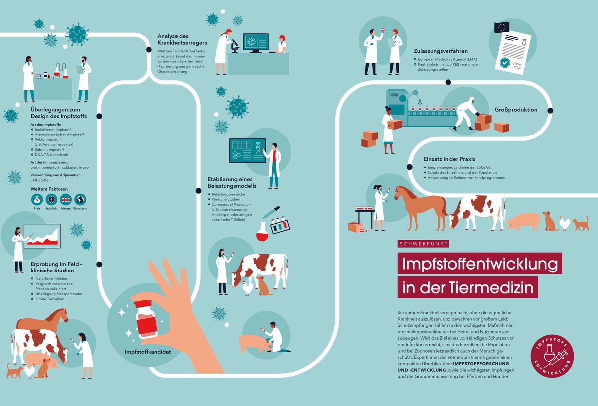 Vetmeduni Auszeichnungen für Infografik im VETMED Magazin
