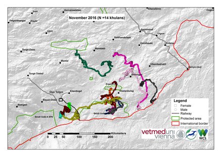 Map of khulan movements November 2016