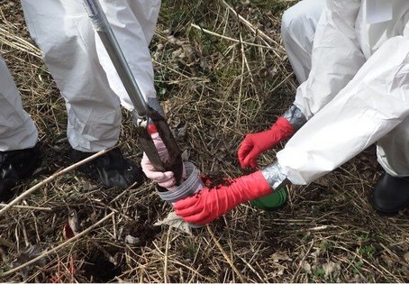 An historischen Standorten können Tierhaare oder Knochen an Bohrstellen nützliche Hinweise liefern. Das Bohrgut wird in Gefäßen für den Transport verpackt und anschließend im Labor analysiert.